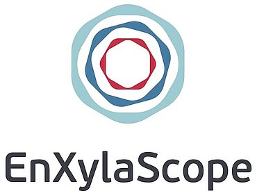 Logo des Projektes Enxylascope